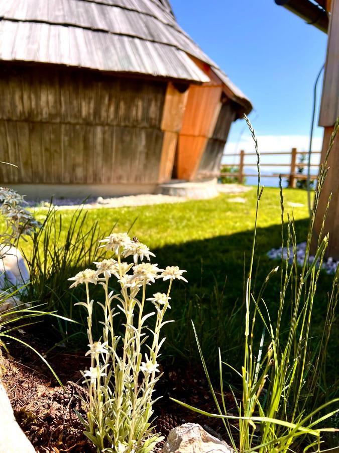 Chalet&Sauna Vetrnice - I FEEL ALPS Stahovica Luaran gambar